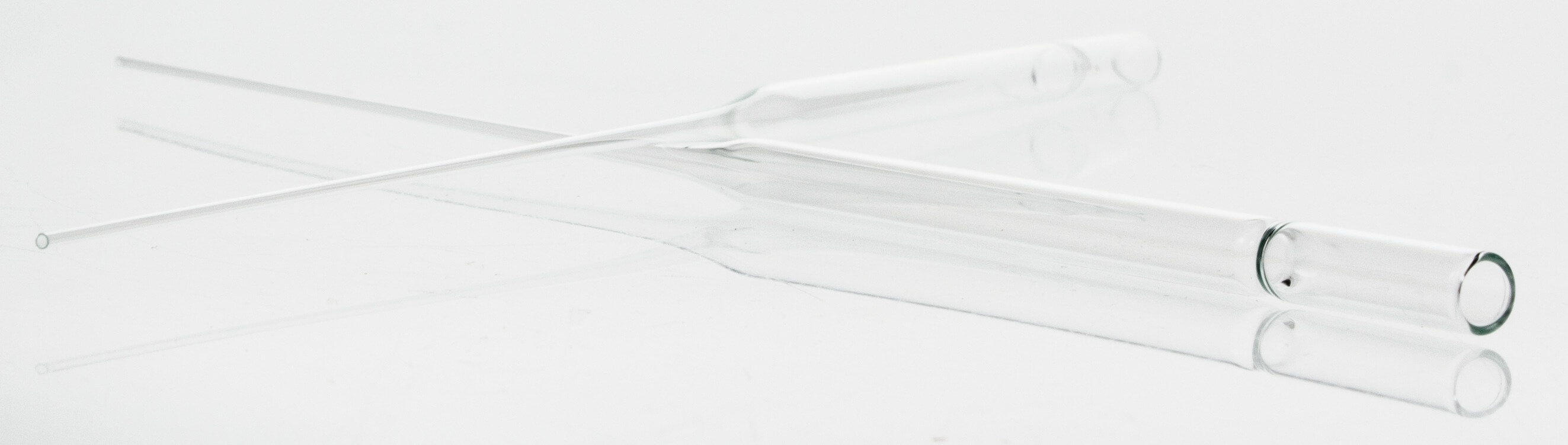 CrystalCruz™ Pasteur Pipettes, Disposable, glass SCBT Santa Cruz