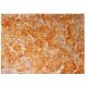 CTMP Antibody (H-10) - Immunohistochemistry - Image 301849 