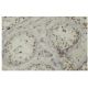CTNNBL1 Antibody (S5) - Immunohistochemistry - Image 35888 