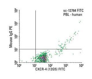 CXCR-4 Antibody (12G5) - Flow Cytometry - Image 5990