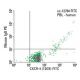CXCR-4 Antibody (12G5) - Flow Cytometry - Image 5990