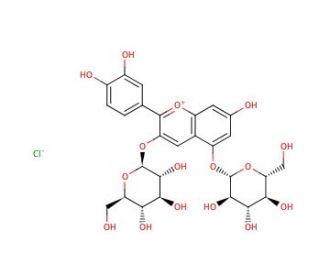 Cyanin chloride (CAS 2611-67-8) - chemical structure image