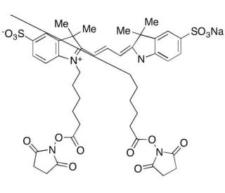 Cyanine 3 Bihexanoic Acid Dye, Succinimidyl Ester, Sodium Salt (CAS 146397-20-8 (free acid)) - chemical structure image