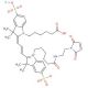 Cyanine 3 Maleimide, Potassium Salt - chemical structure image