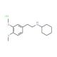 Cyclohexyl-[2-(3,4-dimethoxy-phenyl)-ethyl]-aminehydrochloride - chemical structure image