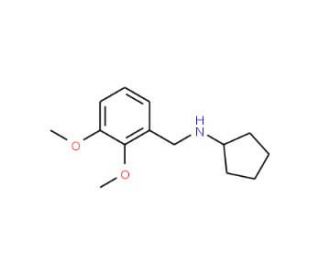 Cyclopentyl-(2,3-dimethoxy-benzyl)-amine (CAS 356094-55-8) - chemical structure image