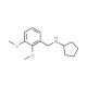 Cyclopentyl-(2,3-dimethoxy-benzyl)-amine (CAS 356094-55-8) - chemical structure image