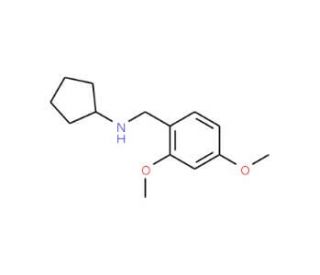 Cyclopentyl-(2,4-dimethoxy-benzyl)-amine (CAS 356092-74-5) - chemical structure image