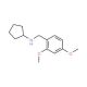 Cyclopentyl-(2,4-dimethoxy-benzyl)-amine (CAS 356092-74-5) - chemical structure image