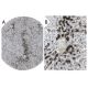 CYP26A1 Antibody (F27 P6 A1) - Immunohistochemistry - Image 37544 