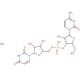 Cytidylyl(3′ 5′)uridine ammonium salt (CAS 27552-97-2) - chemical structure image