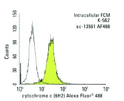 cytochrome c Antibody (6H2) | SCBT - Santa Cruz Biotechnology