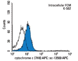 cytochrome c Antibody (7H8) | SCBT - Santa Cruz Biotechnology