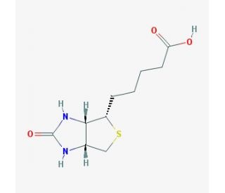 D-(&plus;)-Biotin (CAS 58-85-5) - chemical structure image