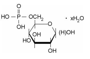 Glucose 6-Phosphate - an overview