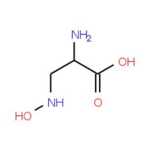 D L 2 Amino 3 Hydroxy 15n Amino Propionic Acid Scbt Santa Cruz Biotechnology