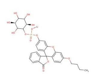 D,L-myo-Inositol-1-(n-butylfluoresceinylphosphate), Lithium Salt - chemical structure image