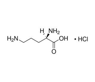 D-Ornithine monohydrochloride (CAS 16682-12-5) - chemical structure image