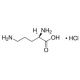 D-Ornithine monohydrochloride (CAS 16682-12-5) - chemical structure image