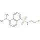 Dansylamidoethyl Mercaptan (CAS 5354-61-0) - chemical structure image