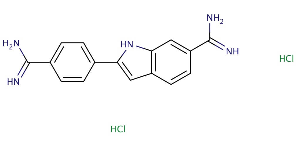 Dapi様 DAPI | CAS 28718-90-3 | SCBT - Santa Cruz Biotechnology