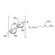 DEAE-Cellulose (CAS 9013-34-7) - chemical structure image