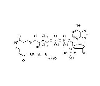 Decanoyl coenzyme A monohydrate (CAS 1264-57-9) - chemical structure image