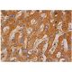 DECR1 Antibody (G-10) - Immunohistochemistry - Image 333998 