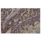 DEF6 Antibody (SW-9) - Immunohistochemistry - Image 35953