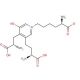 Deoxypyridinoline Chloride Trihydrochloride Salt (CAS 204074-56-6) - chemical structure image
