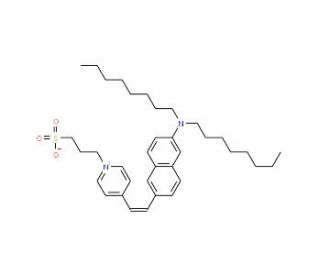 Di-8-ANEPPS (CAS 157134-53-7) - chemical structure image