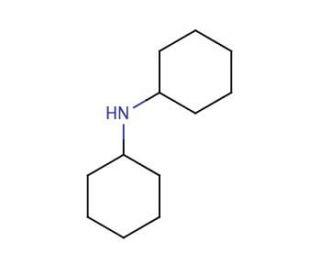 Dicyclohexylamine (CAS 101-83-7) - chemical structure image