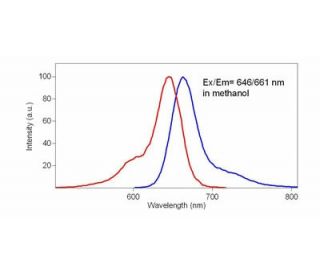 DiD Perchlorate: sc-495772 