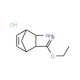 diexo-3-Amino-bicyclo[2.2.1]hept-5-ene-2-carboxylic acid ethyl ester hydrochloride (CAS 104770-18-5) - chemical structure ima