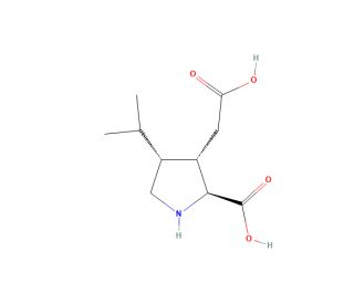 Dihydrokainic acid (CAS 52497-36-6) - chemical structure image