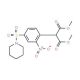 Dimethyl 2-[2-nitro-4-(piperidinosulfonyl)phenyl]-malonate - chemical structure image