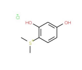 Dimethyl-2,4-dihydroxyphenylsulfonium chloride - chemical structure image