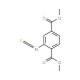 dimethyl 2-isothiocyanatoterephthalate - chemical structure image