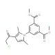 Dimethyl 5-[3-(chloroacetyl)-2,5-dimethyl-1H-pyrrol-1-yl]isophthalate - chemical structure image