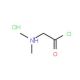 Dimethylaminoacetyl chloride hydrochloride (CAS 60853-81-8) - chemical structure image