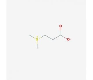 Dimethylsulfoniopropionate (CAS 7314-30-9) - chemical structure image