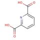Dipicolinic acid, Beauveria sp. - chemical structure image