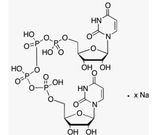 Diquafosol Sodium Salt - chemical structure image
