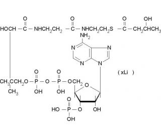 DL-&beta;-Hydroxybutyryl coenzyme A lithium salt (CAS 103404-51-9) - chemical structure image