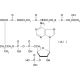 DL-β-Hydroxybutyryl coenzyme A lithium salt (CAS 103404-51-9) - chemical structure image