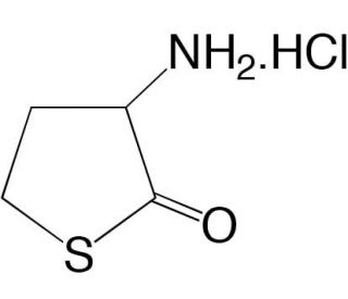 DL-Homocysteine thiolactone hydrochloride (CAS 6038-19-3) - chemical structure image