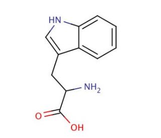 DL-Tryptophan (CAS 54-12-6) - chemical structure image