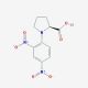 DNP-L-proline (CAS 1655-55-6) - chemical structure image