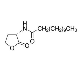 Dodecanoyl-L-homoserine lactone (CAS 137173-46-7) - chemical structure image