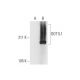 DOT1L1 Antibody (C-3) - Western Blotting - Image 290900
